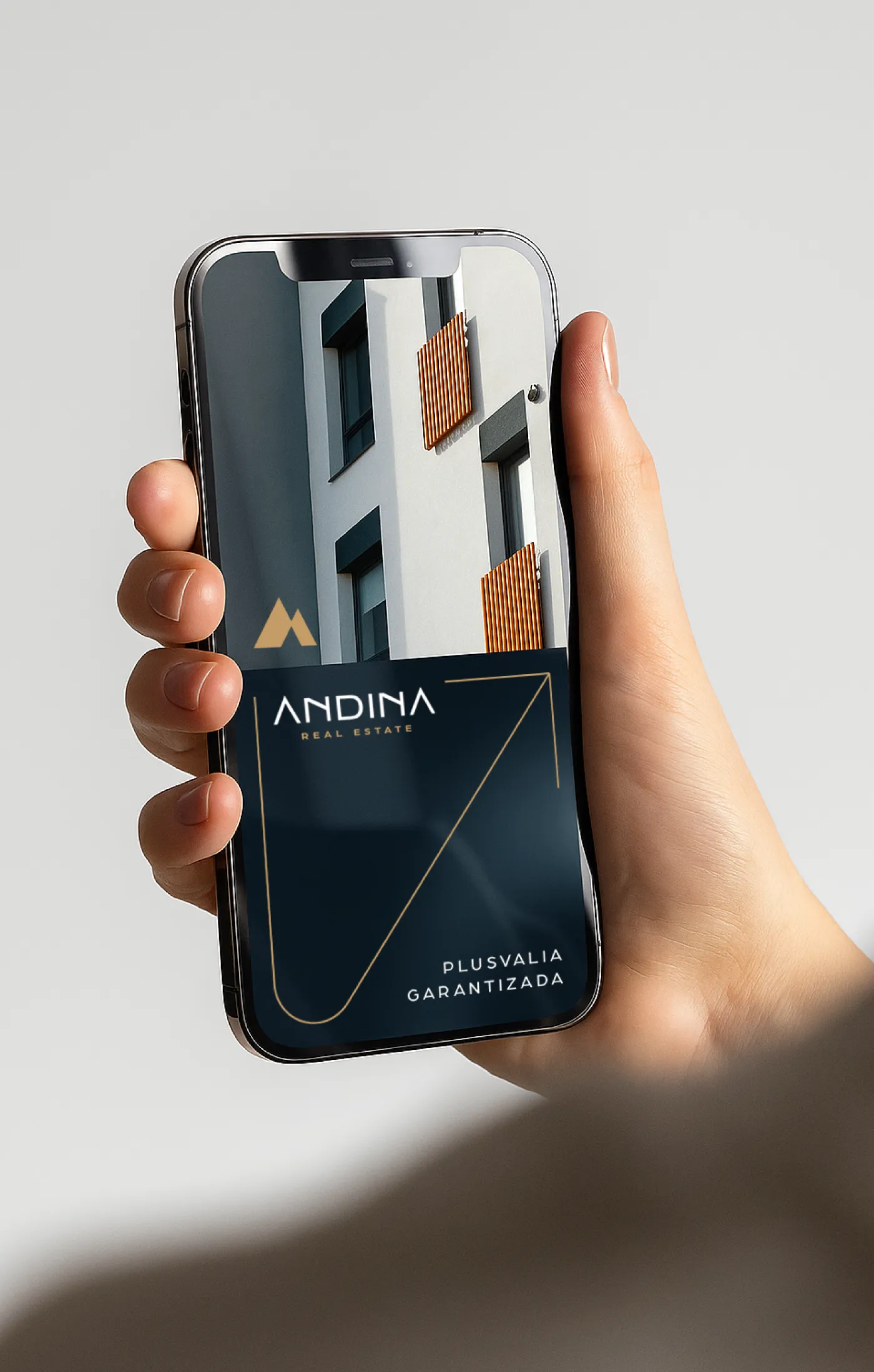 ANDINA thumbnail