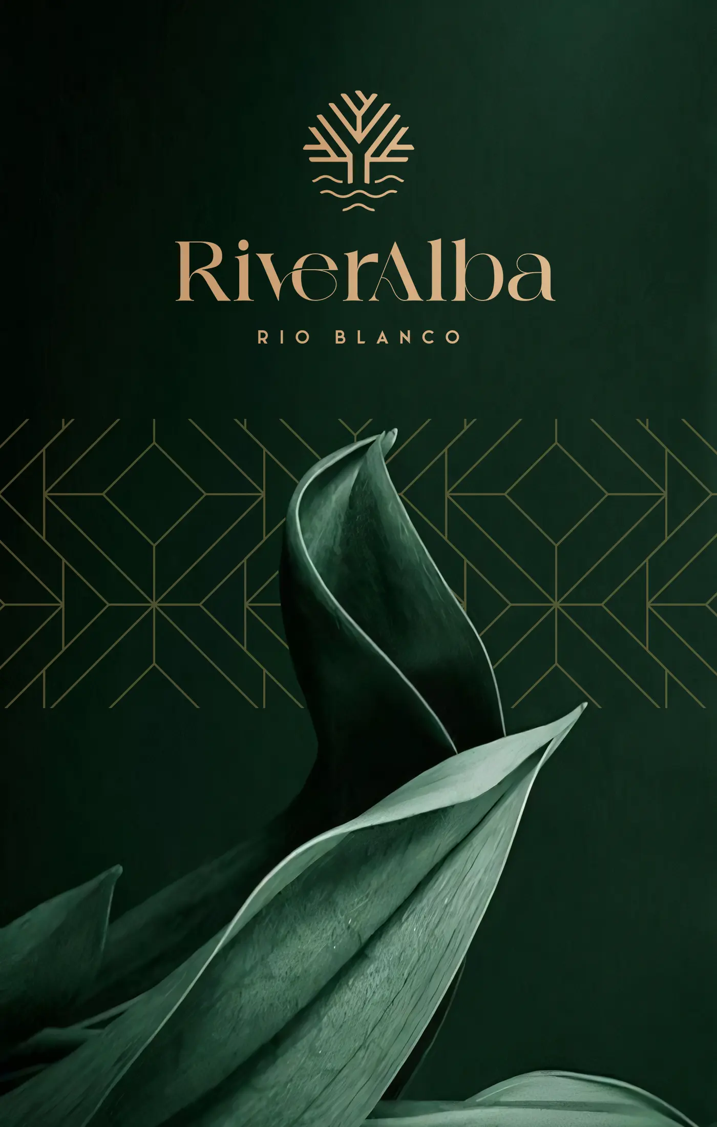 Riveralba thumbnail